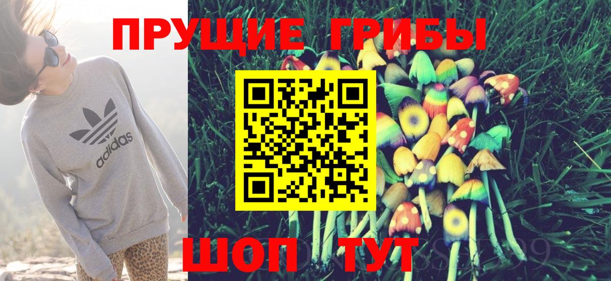Псилоцибиновые грибы GOLDEN TEACHER  цены наркотик  Вход с VPN  Вольск  Галлюциногенные грибы Magic Shrooms 
