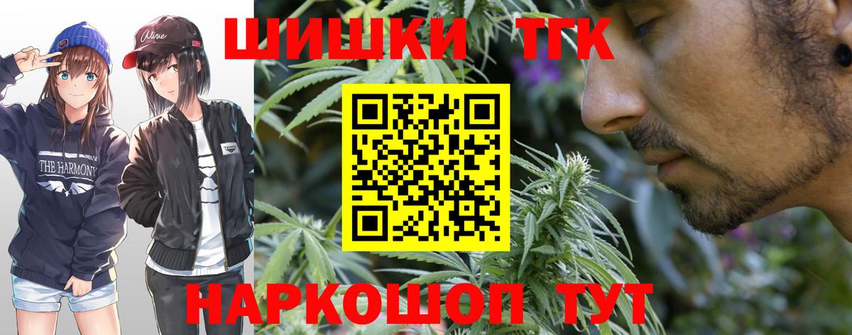 Бошки Шишки планчик Вольск